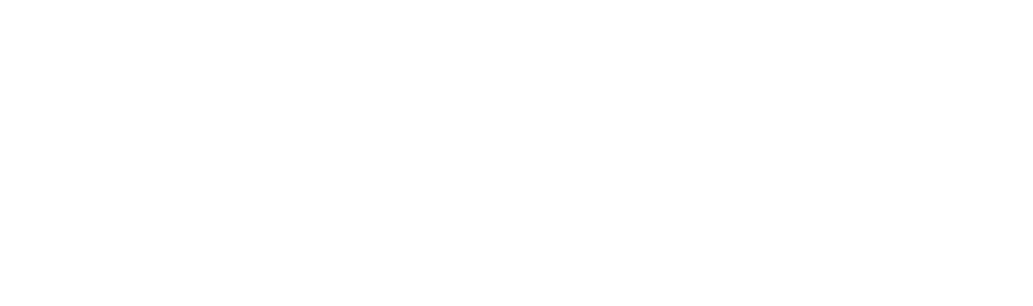 Zidan Management Group